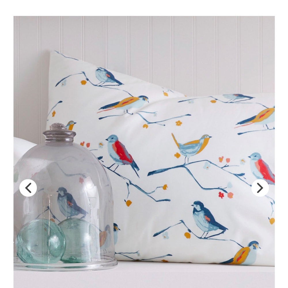 Garnet Hill Blue Bird Organic Cotton Percale King Size Sheet Set